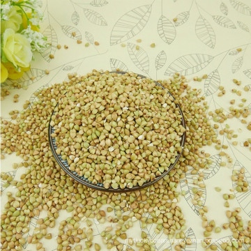 ALIBABA USED EXCLUSIVELYSweet Buckwheat (GF4)